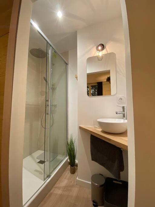 Cozy 1br+sofa Bed In Center Appartamento *