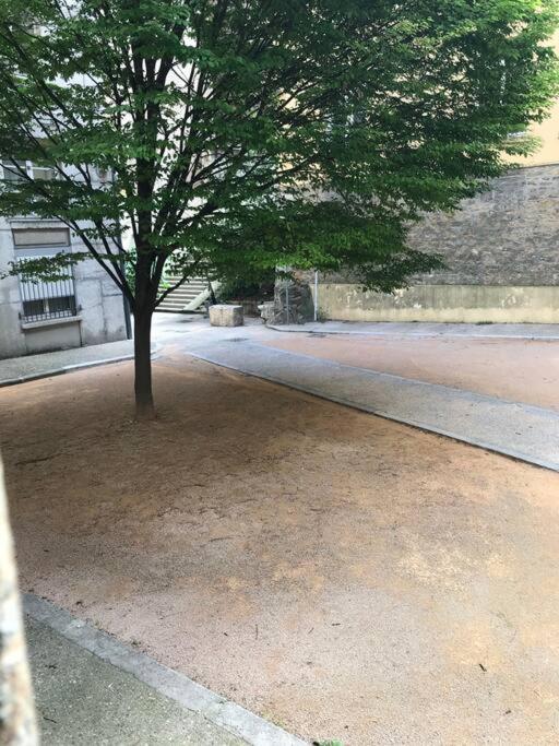 Cozy 1br+sofa Bed In Center Lione