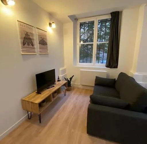 Cozy 1Br+Sofa Bed In Lyon Center